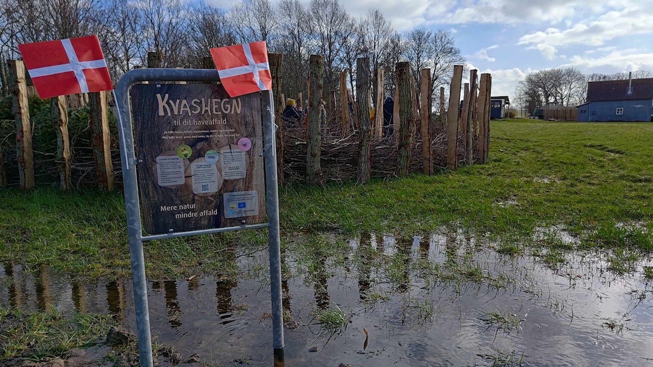 Kvashegn på Samsø.